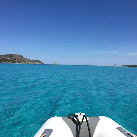 Daire Rosa Dei Venti Panoramica Vista Mare E Parco Dell'asinara Stintino