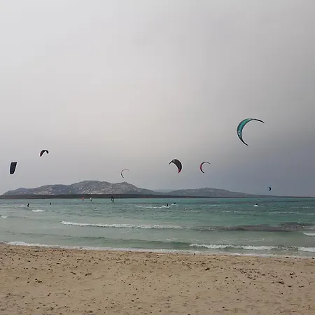 Daire Rosa Dei Venti Panoramica Vista Mare E Parco Dell'asinara Stintino