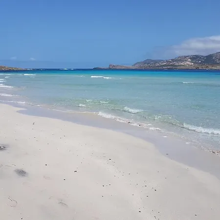 Rosa Dei Venti Panoramica Vista Mare E Parco Dell'asinara Stintino