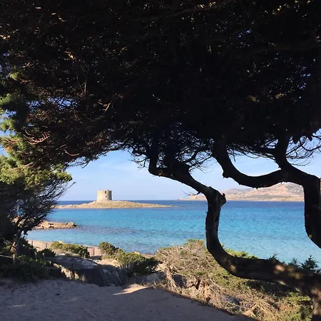 Daire Rosa Dei Venti Panoramica Vista Mare E Parco Dell'asinara *
