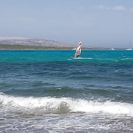 Rosa Dei Venti Panoramica Vista Mare E Parco Dell'asinara * סטינטינו