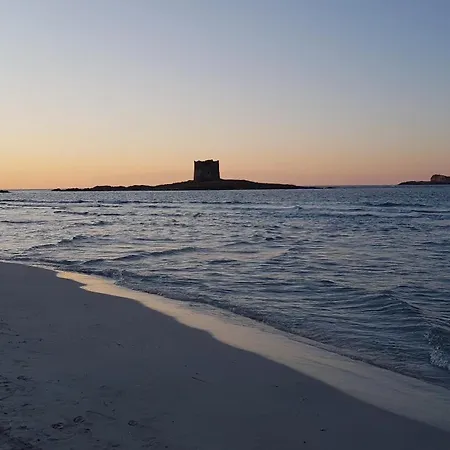 Rosa Dei Venti Panoramica Vista Mare E Parco Dell'asinara סטינטינו