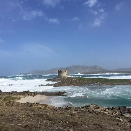 Rosa Dei Venti Panoramica Vista Mare E Parco Dell'asinara סטינטינו