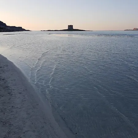 Rosa Dei Venti Panoramica Vista Mare E Parco Dell'asinara * Stintino