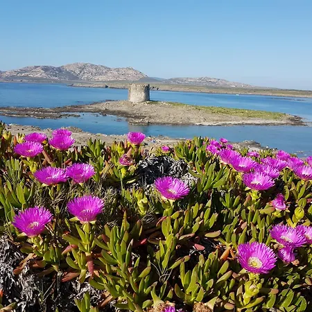 Rosa Dei Venti Panoramica Vista Mare E Parco Dell'asinara * Stintino