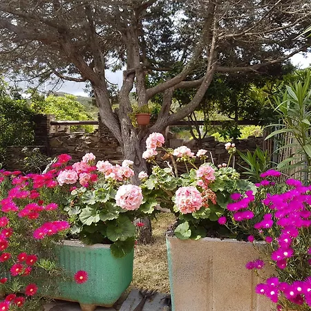 Rosa Dei Venti Panoramica Vista Mare E Parco Dell'asinara דירה *