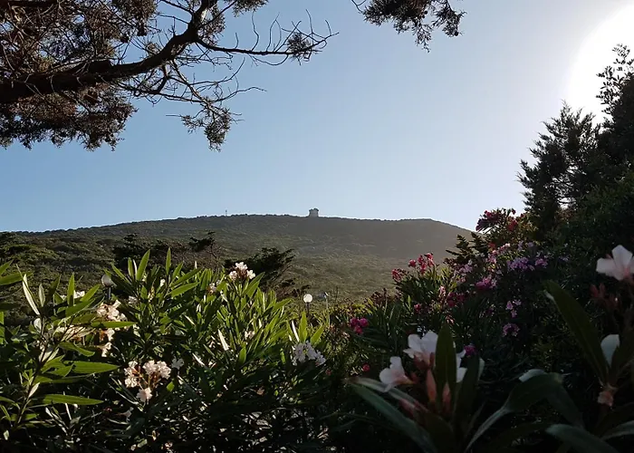 Rosa Dei Venti Panoramica Vista Mare E Parco Dell'asinara *