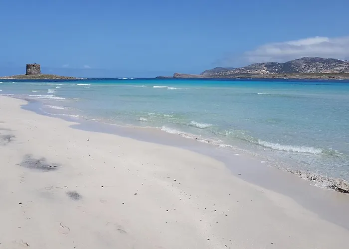 Rosa Dei Venti Panoramica Vista Mare E Parco Dell'asinara Stintino