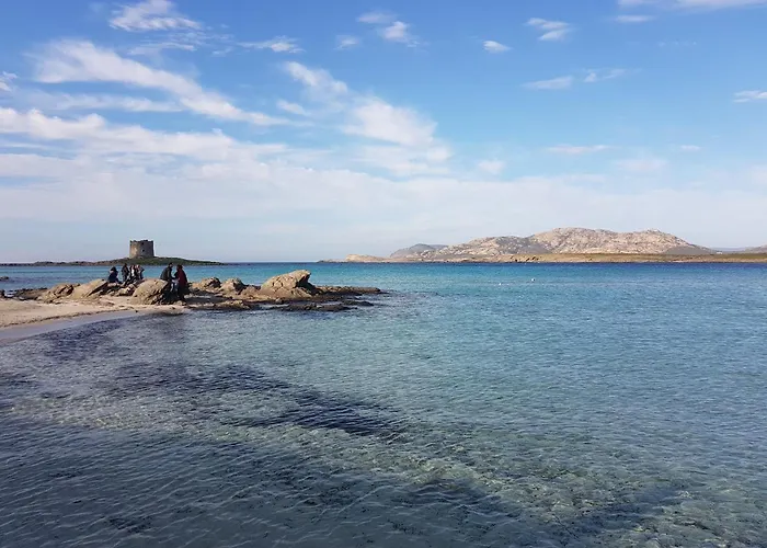 Rosa Dei Venti Panoramica Vista Mare E Parco Dell'asinara Апартаменты Стинтино
