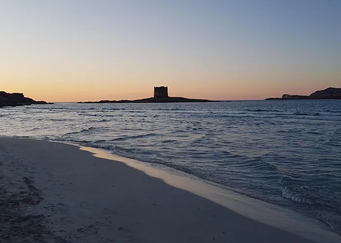 Rosa Dei Venti Panoramica Vista Mare E Parco Dell'asinara Стинтино