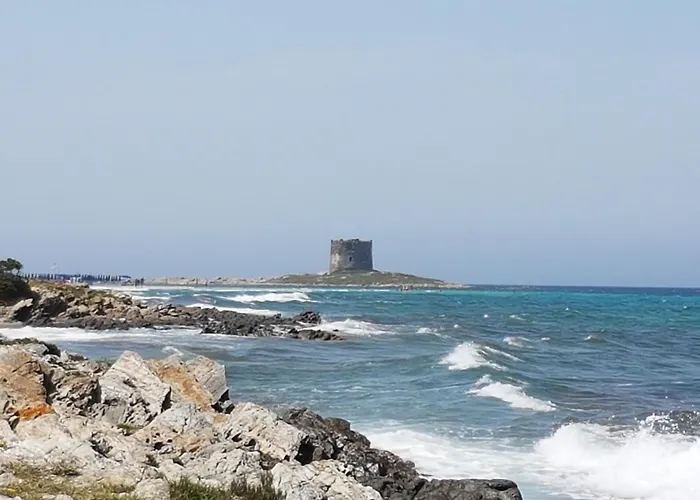 Rosa Dei Venti Panoramica Vista Mare E Parco Dell'asinara Stintino