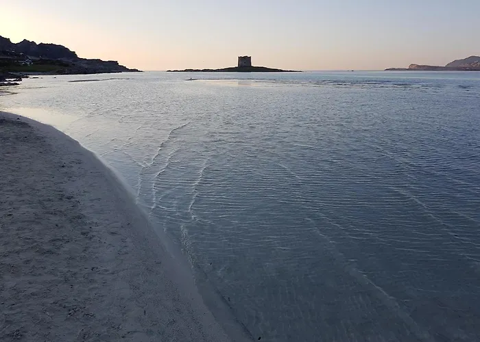 Rosa Dei Venti Panoramica Vista Mare E Parco Dell'asinara * Stintino