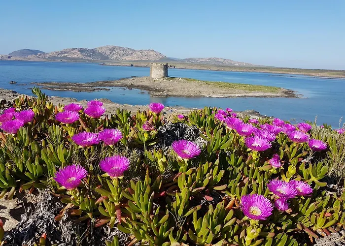 Rosa Dei Venti Panoramica Vista Mare E Parco Dell'asinara * Stintino