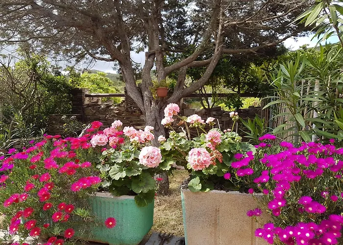 Rosa Dei Venti Panoramica Vista Mare E Parco Dell'asinara Апартаменты *